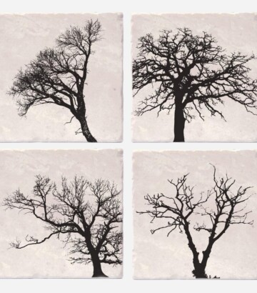 Coasters Set – Trees of life