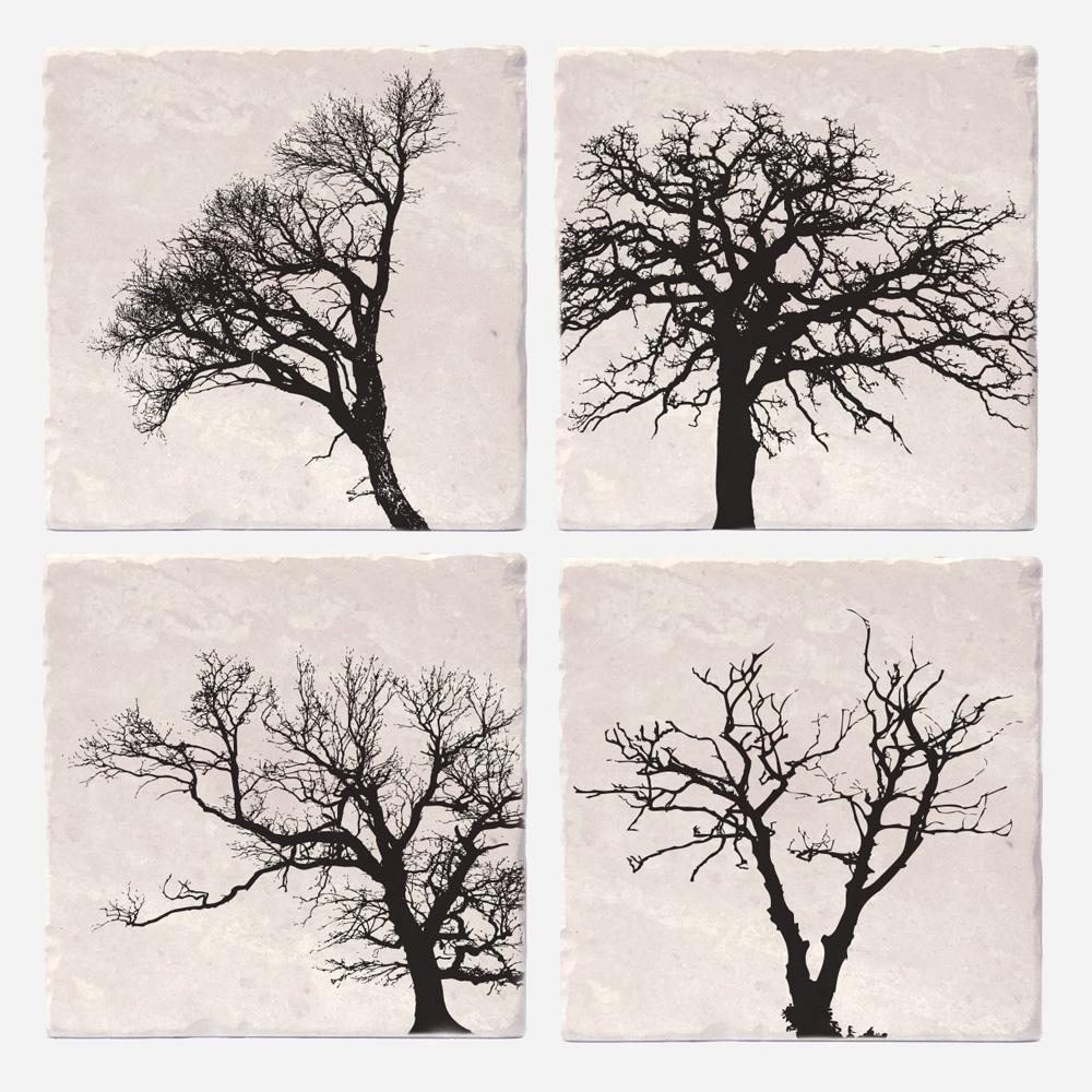 Coasters Set – Trees of life