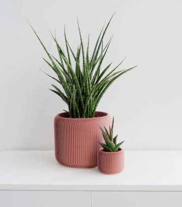 Pine Planter