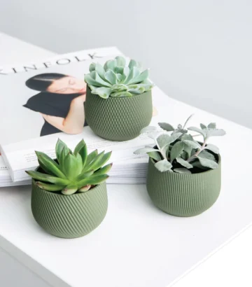 Mini Planter Set