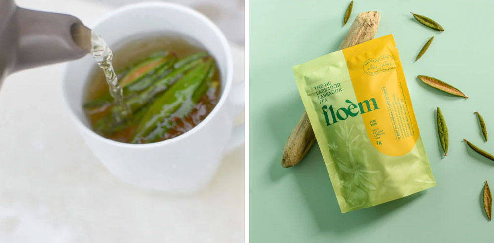 Herbal tea complete kit