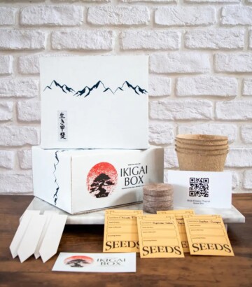 Bonsai Box – Complete Kit