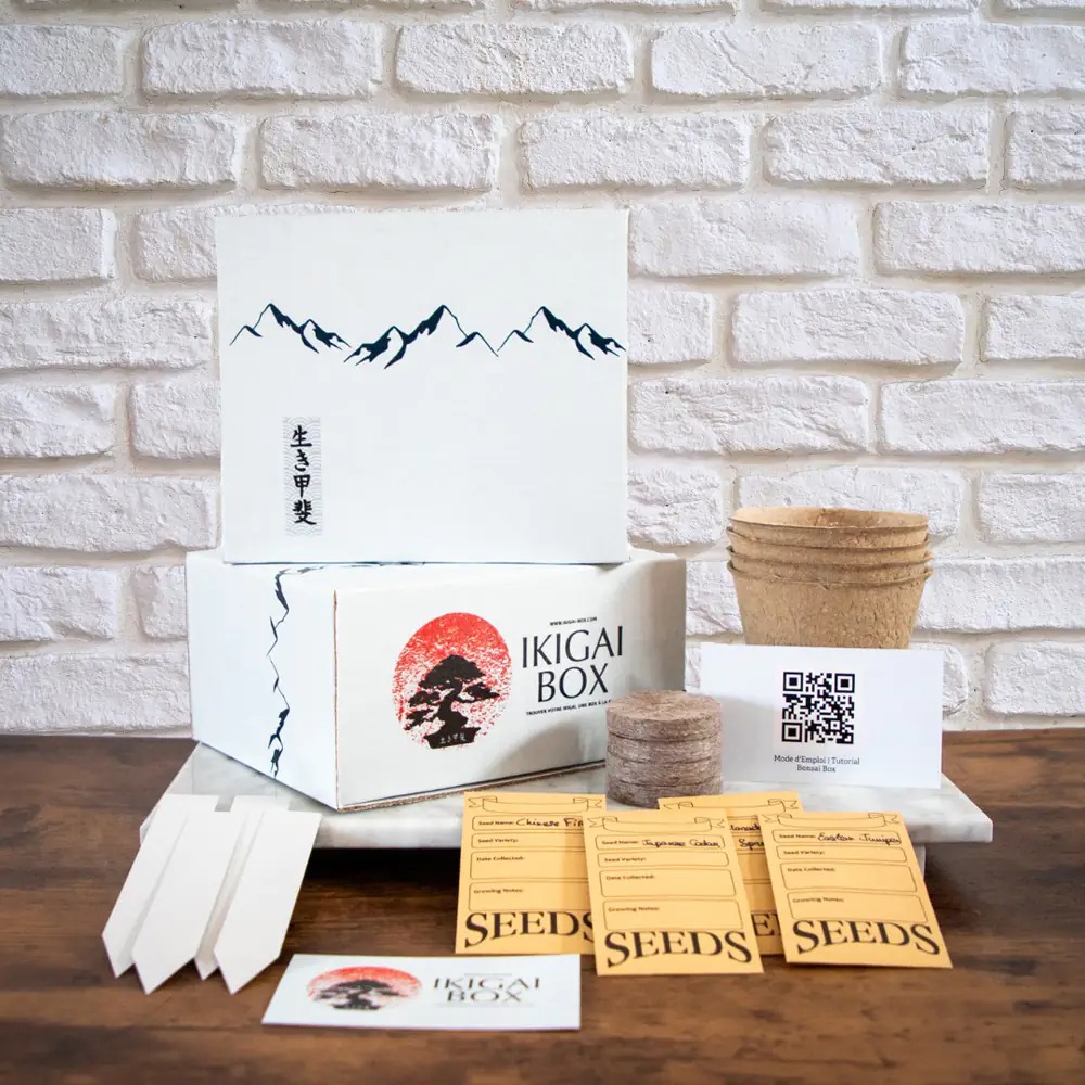 Bonsai Box – Complete Kit
