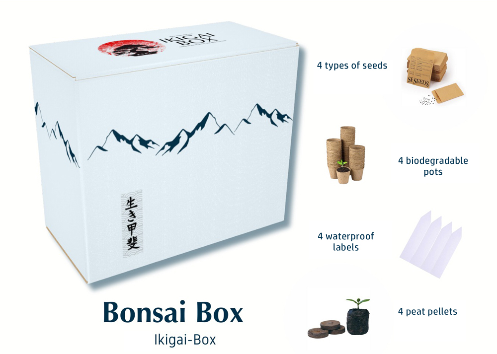 Bonsai box complete starter kit